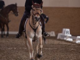 IMG_3142_web